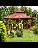 Delutri Landscaping