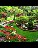 Delutri Landscaping