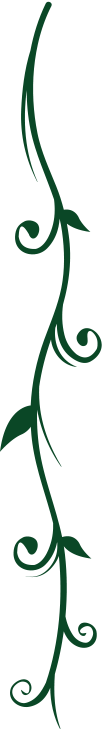 Delutri Landscaping